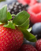 Good Nutrition